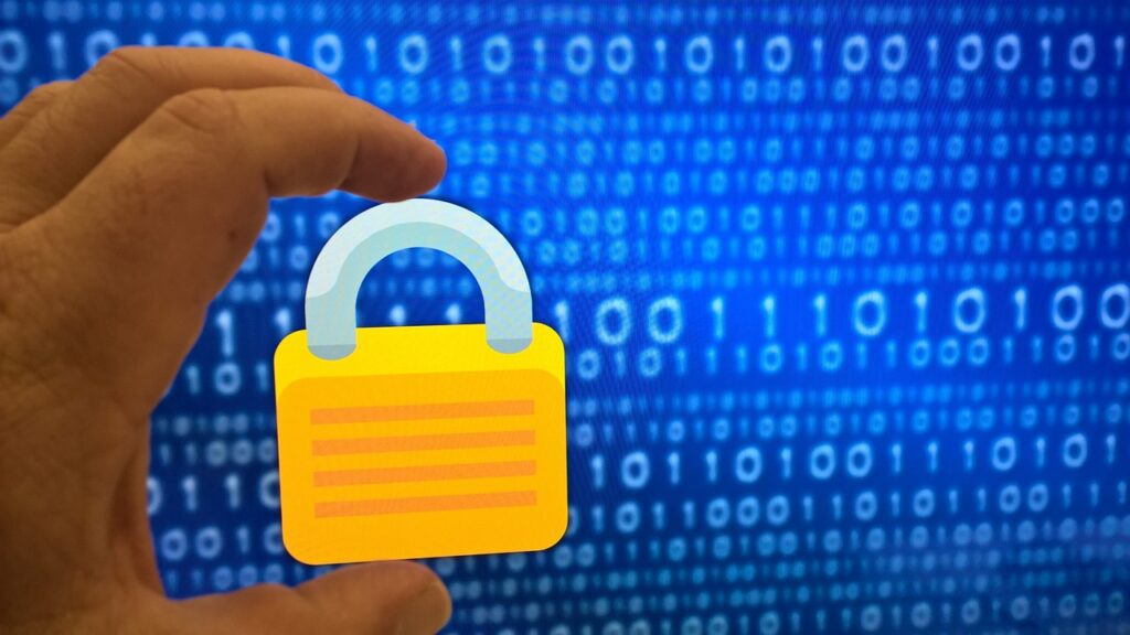 Strategies to Enhance AI Privacy